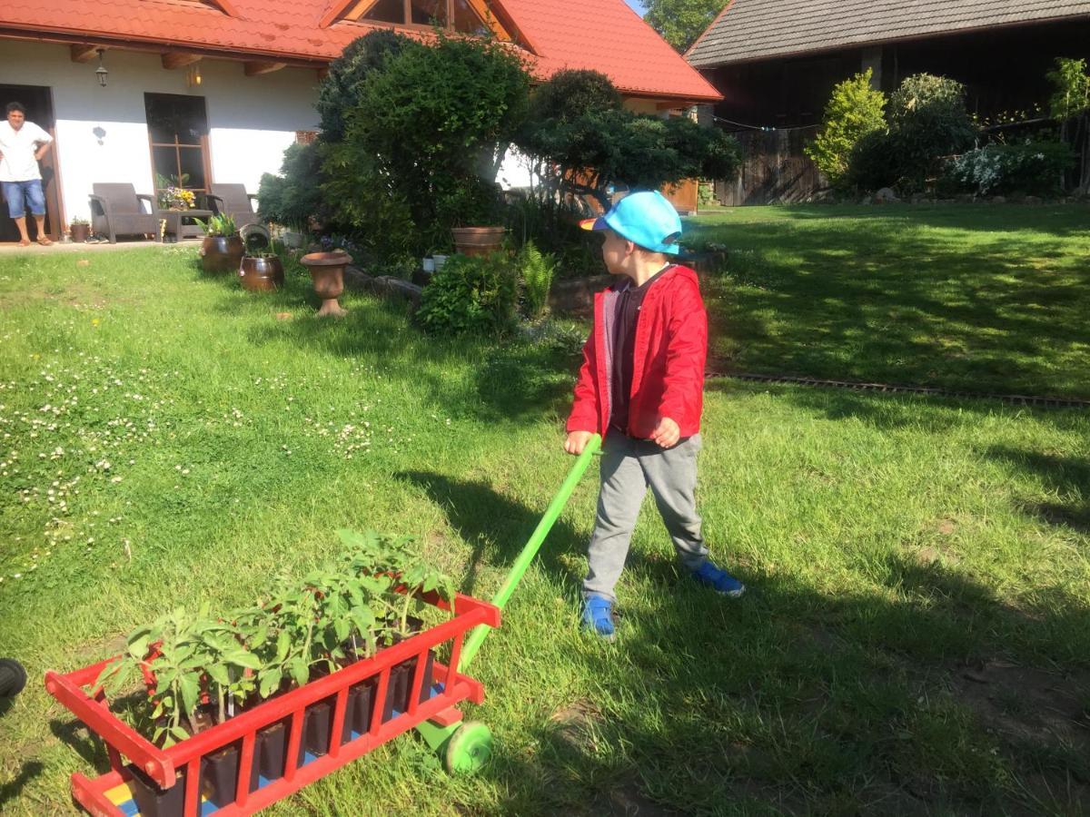 Dom Pod Orzechem Villa Łapczyce Exteriör bild