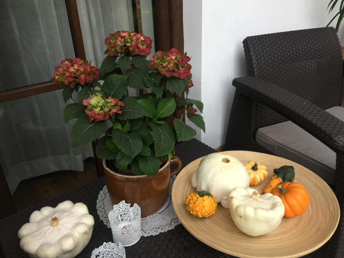 Dom Pod Orzechem Villa Łapczyce Exteriör bild